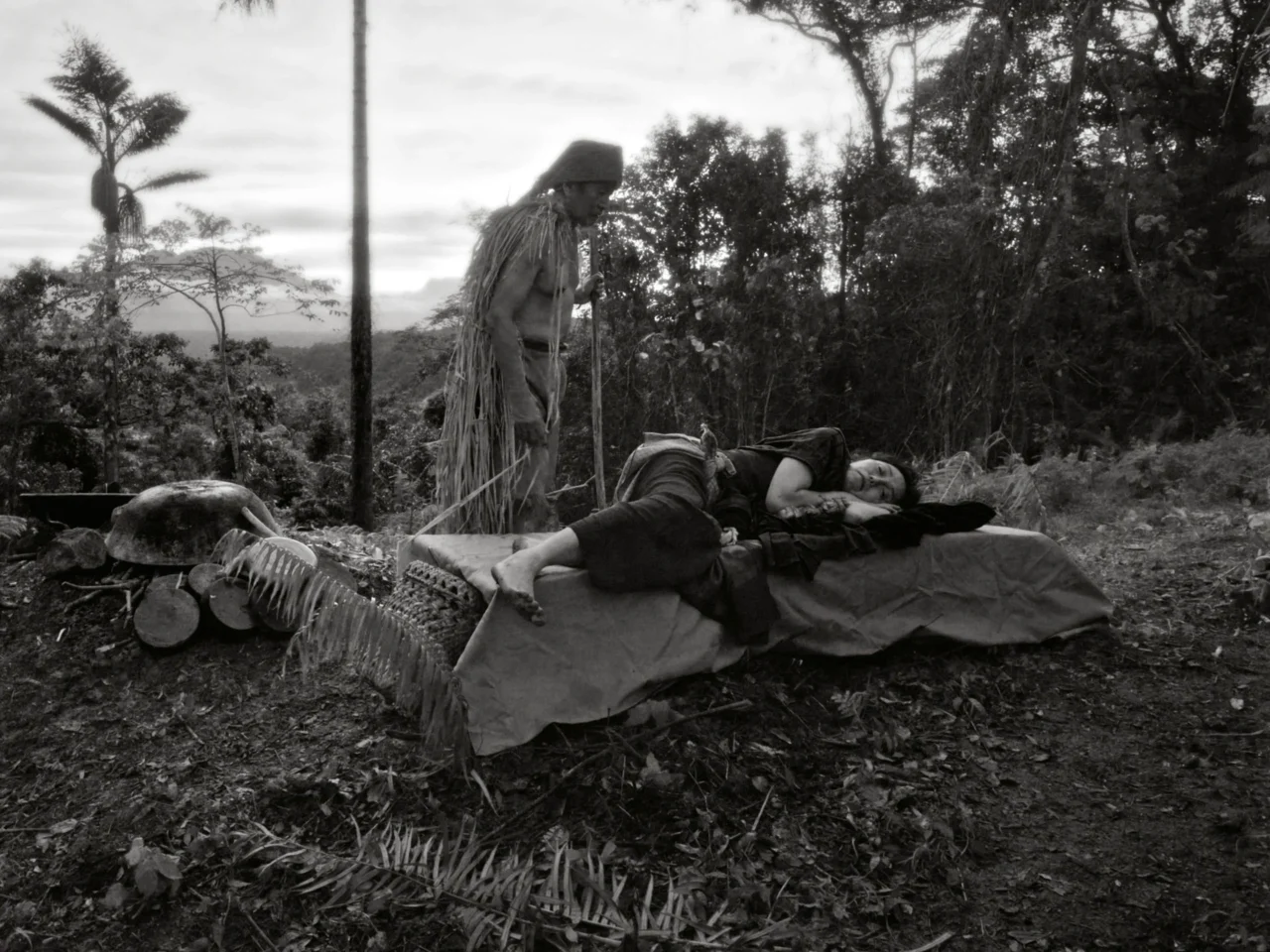 Two children walk away from the camera through a tropical forest clearing with tall trees and vines overhead.