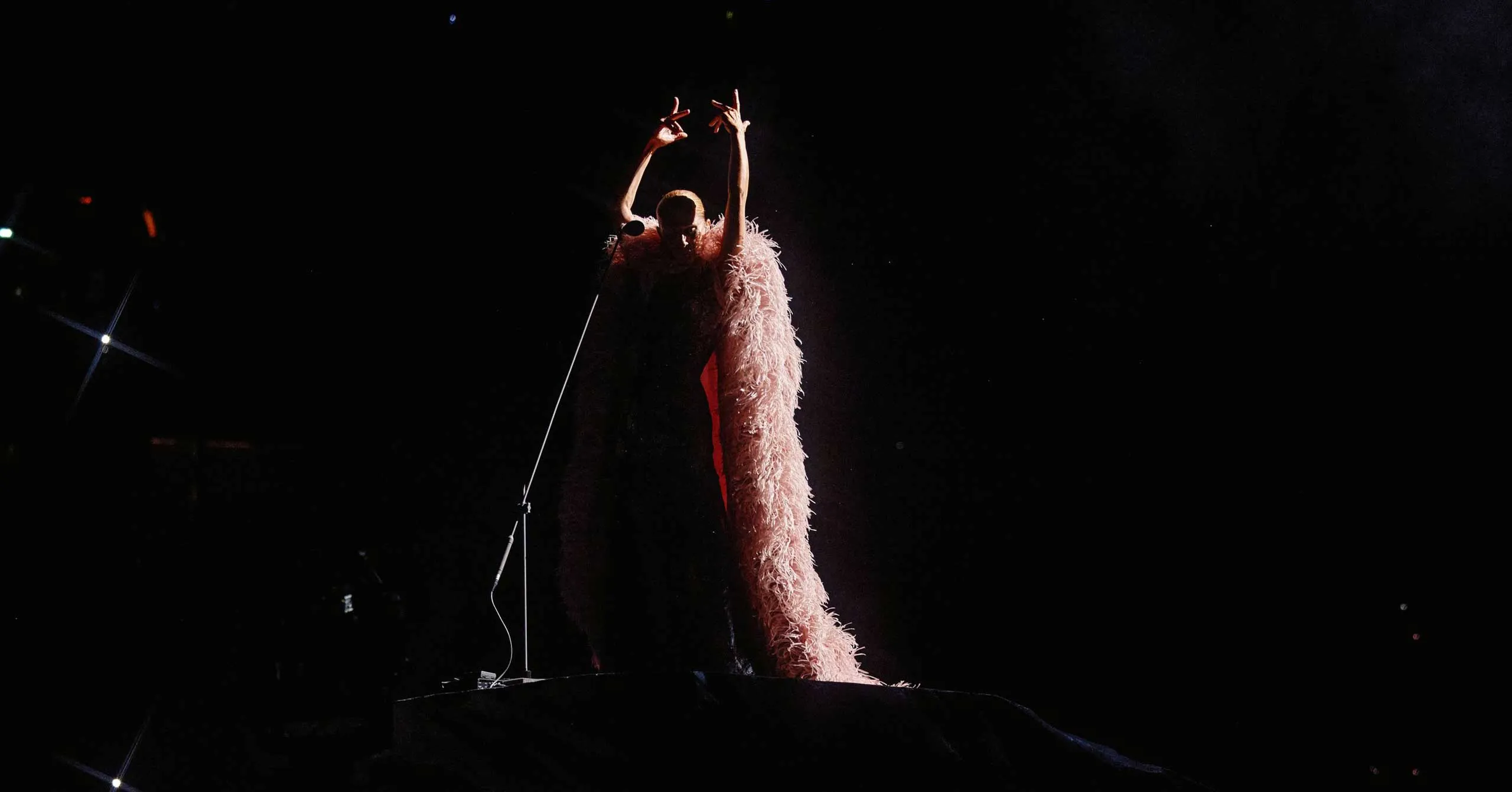 C line Dion s Paris Comeback Finds Fabulousness In The Fragile