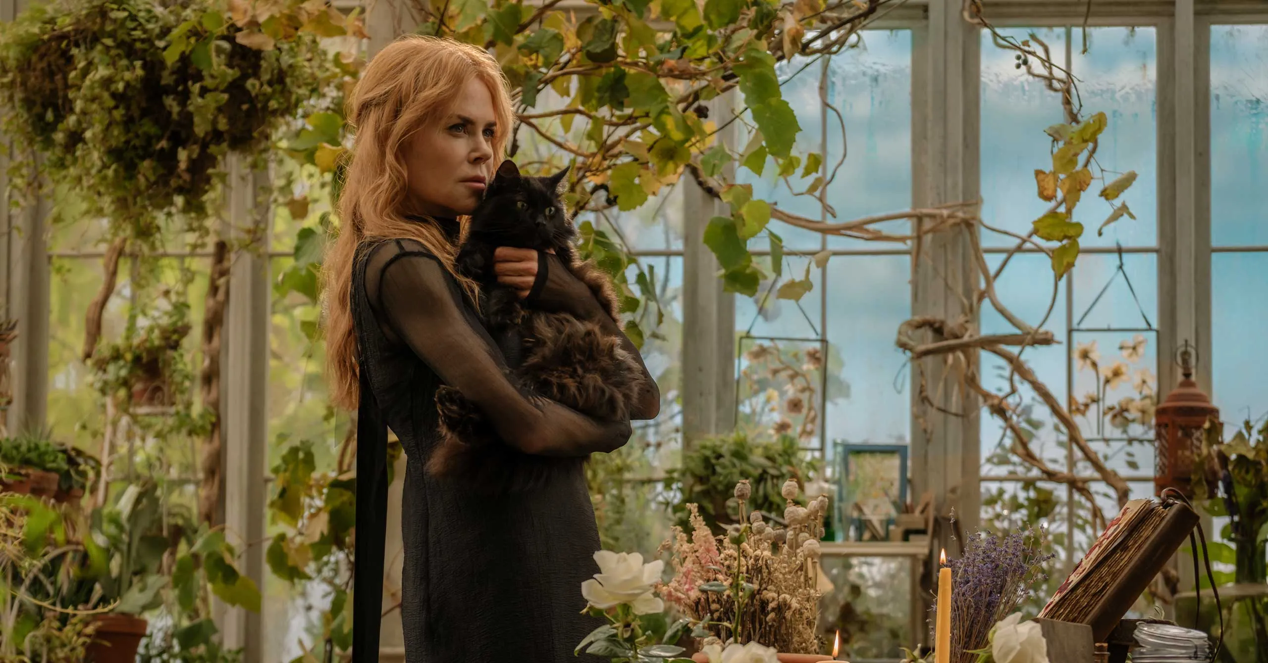 Woman in a black dress cradling a fluffy black cat in a greenhouse filled with vines and glass panels.