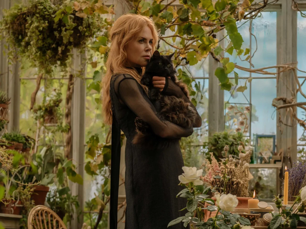 Woman in a black dress cradling a fluffy black cat in a greenhouse filled with vines and glass panels.