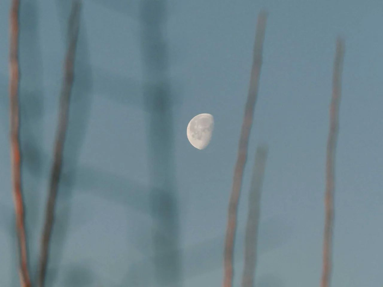 Partial moon visible in a pale blue sky, with out-of-focus vertical brown lines in the foreground.